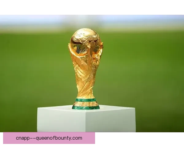 2026世界杯将为参赛球员提供全球顶尖身体机能评估系统